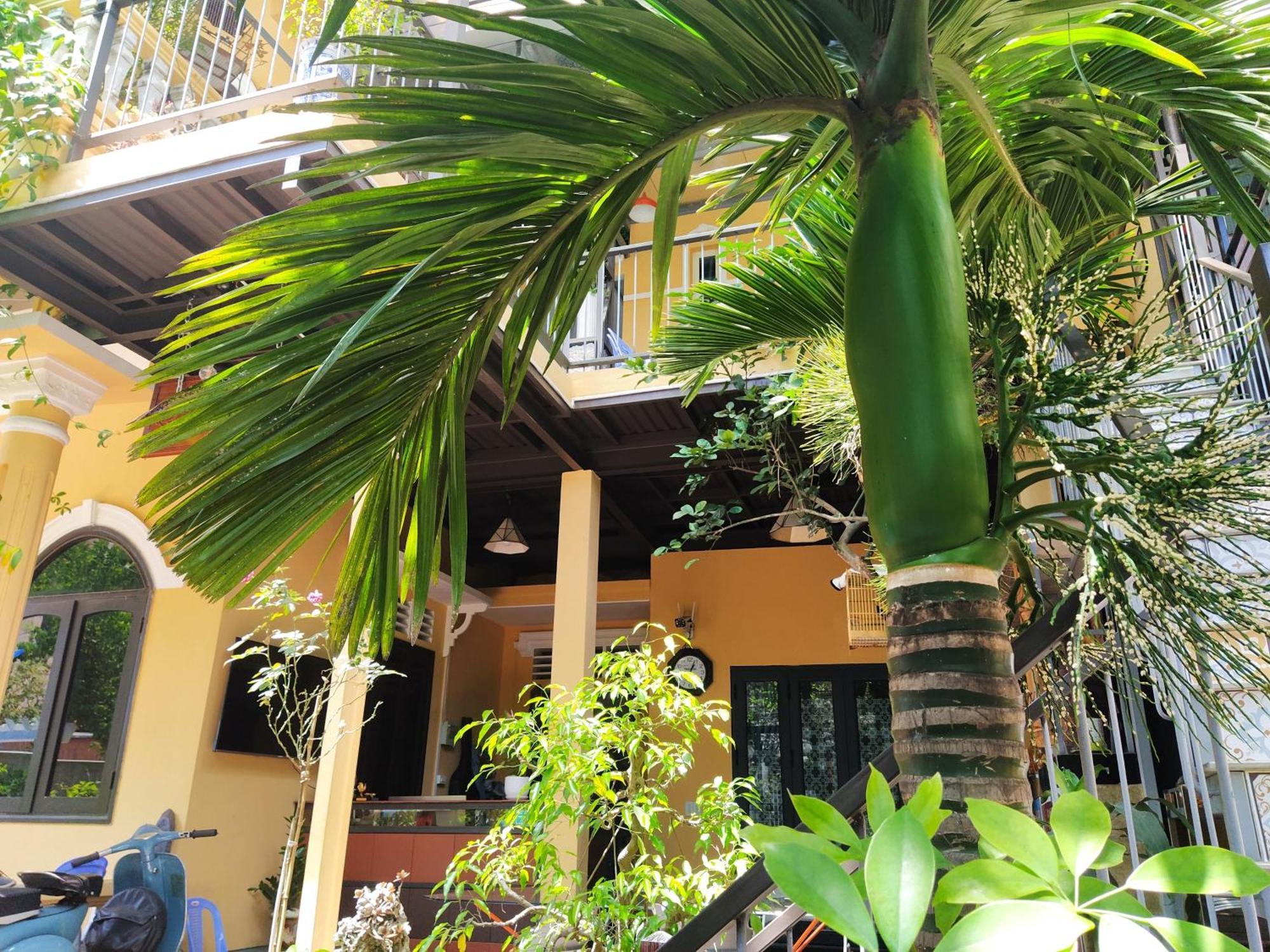Q' Homestay Garden Villa Хюе Екстер'єр фото